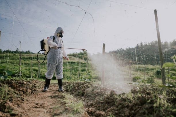 Best Affordable Pest Control Services  in Adwolf, VA