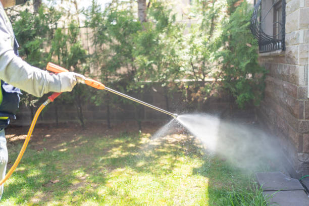 Best Termite Control Services  in Adwolf, VA