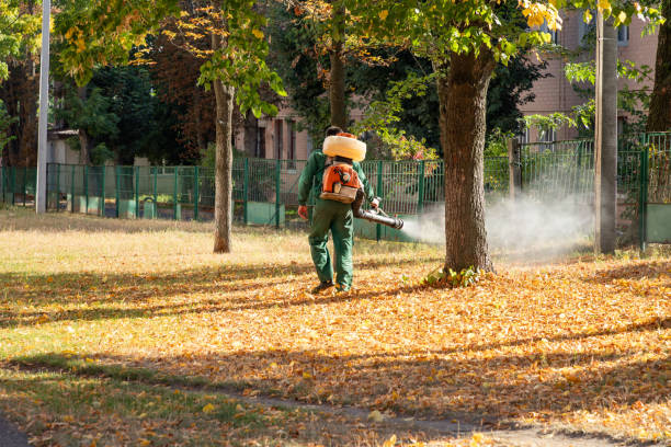 Wildlife Control Services in Adwolf, VA